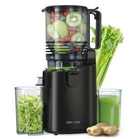 Cold Press Juicer With 6 In. Wide Feed Chute, Slow Masticating Juicer